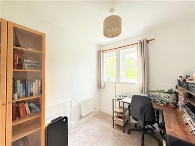 Picture 13